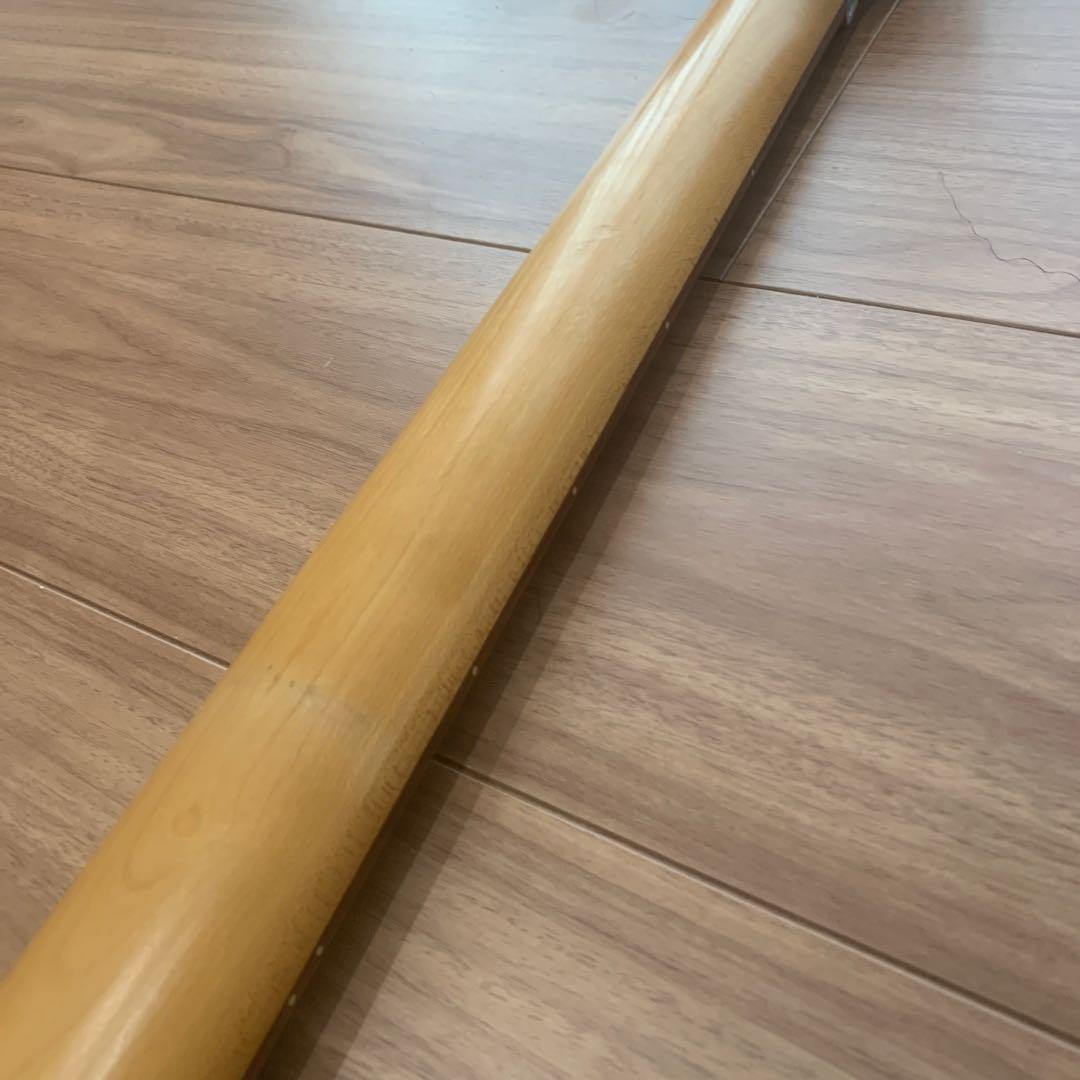 フェルナンデス フロイドローズ搭載 ソフトケース付き