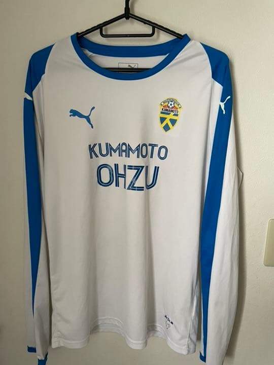 銀製 菊紋 大記念章 メダル 銀色 リボン付き