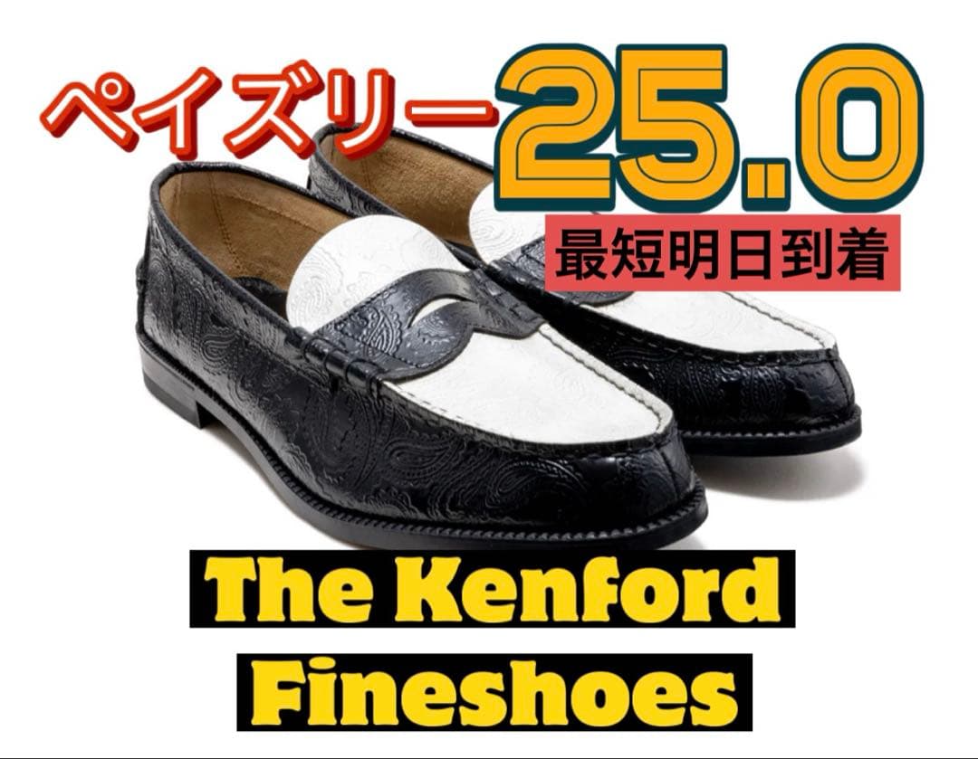 武井咲さんの直筆サイン入りチェキ ⑥ 当選通知書付き 抽プレ