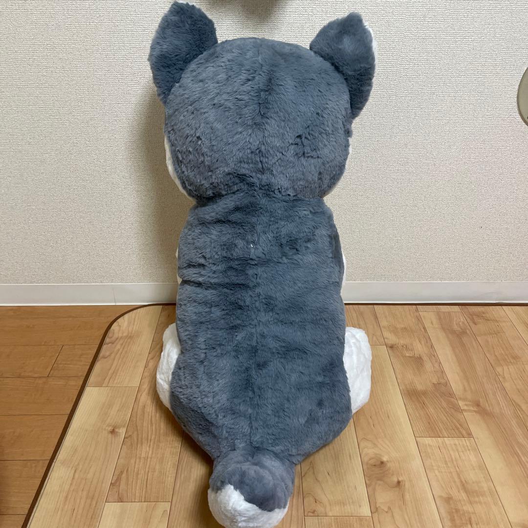 シベリアンハスキー　特大ぬいぐるみ