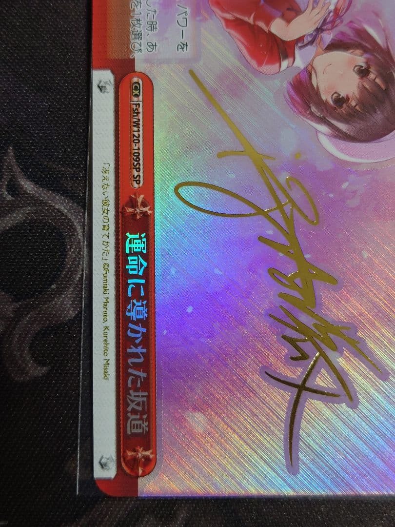 運命に導かれた坂道 sp サイン ヴァイスシュヴァルツ