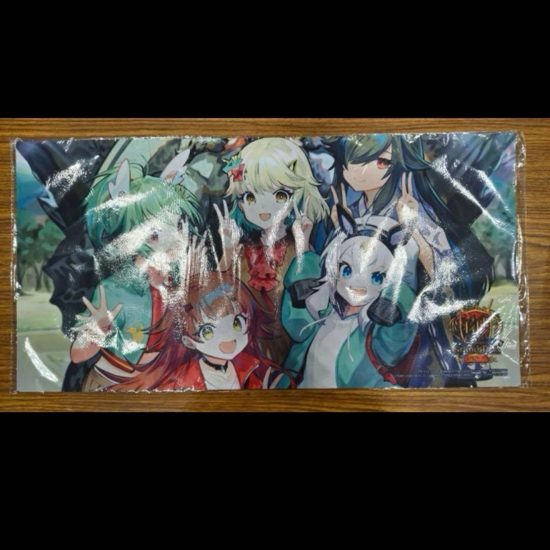 DM GP 2025 パーフェクトアース ドラゴン娘 プレイマット デュエマ gp