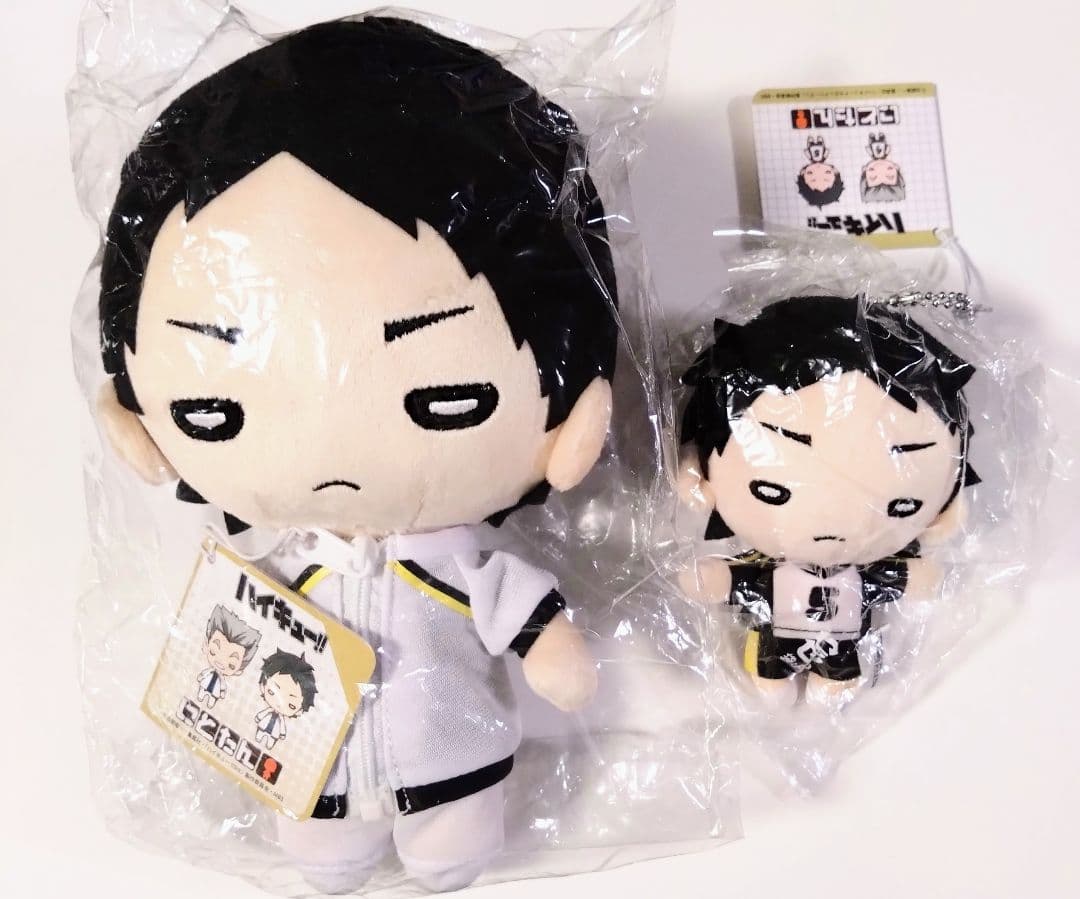 ハイキュー にとたん 大きい おおきいぬいぐるみ 赤葦京治 赤葦