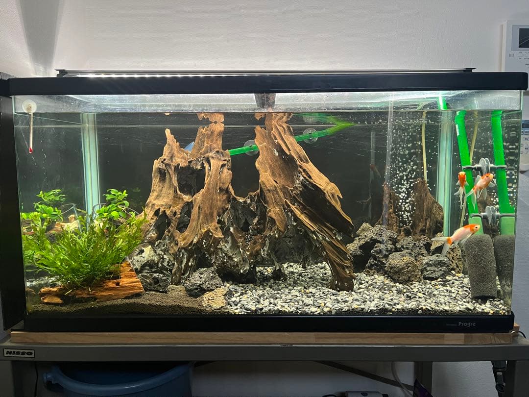 MSRW-6552 スリムウッド4本セット 60cm水槽用流木 アクアリウム MMW