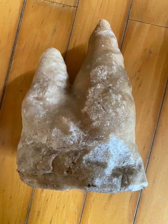 鍾乳石 飛騨大鍾乳洞 | ドライブコンサルタント