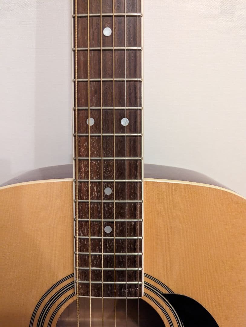 Takamine T-F1/N アコースティックギター タカミネ T-F1⁄N