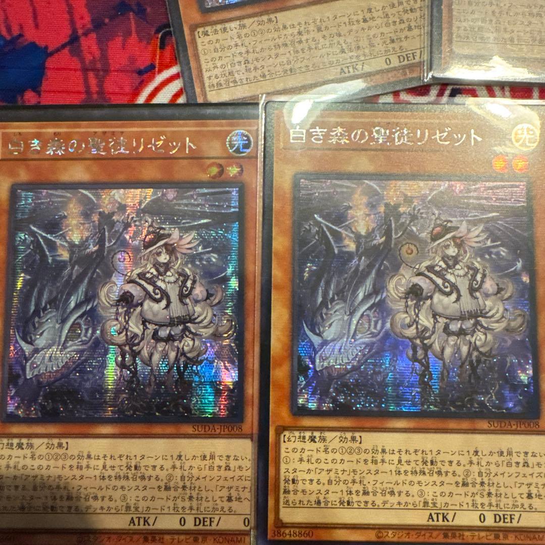 専用　白き森のリゼット3のみ