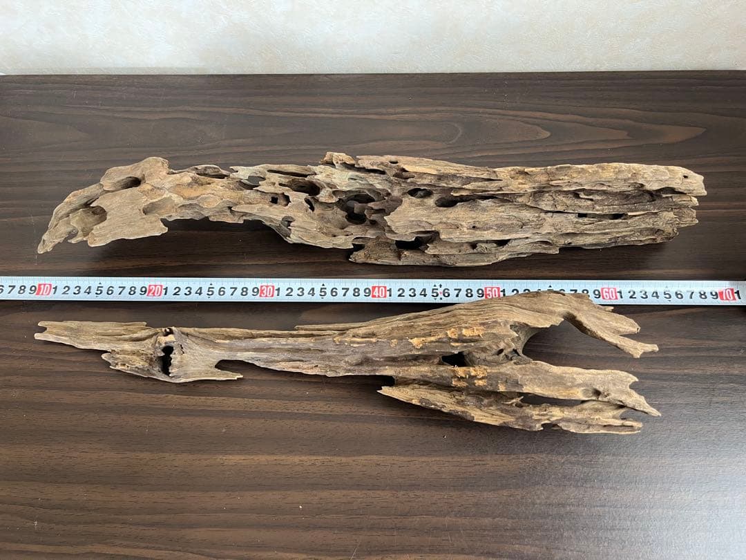 XM-446 流木 マシンガンウッド ブランチウッド アクアリウム - メルカリ