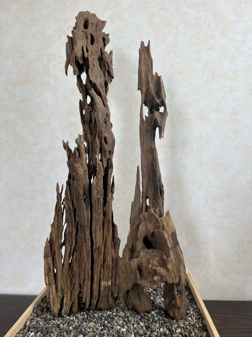 XM-446 流木 マシンガンウッド ブランチウッド アクアリウム - メルカリ