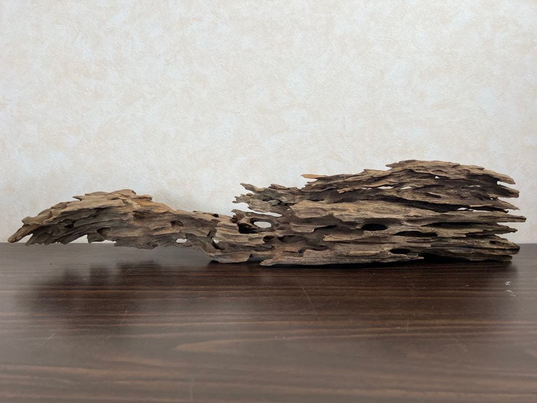 XM-446 流木 マシンガンウッド ブランチウッド アクアリウム - メルカリ