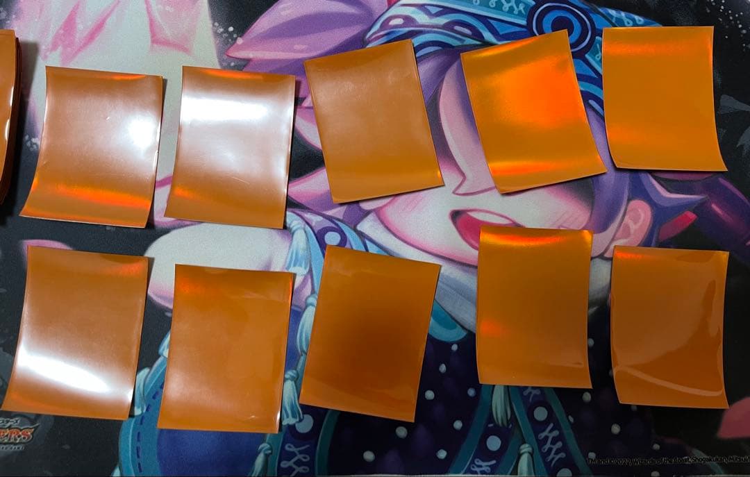 DXカードプロテクト ファイアー・バードがいっぱい スリーブ 未開封