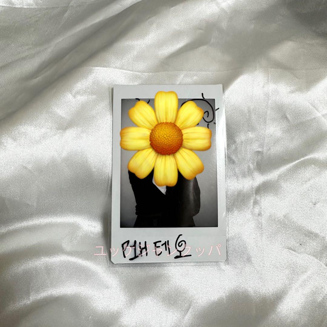 P1harmony テオ 直筆サイン入りポラロイド チェキ