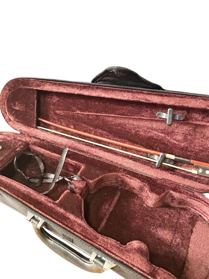 カルロジョルダーノ VS-1 1/10 バイオリン 本体 ハードケース付き