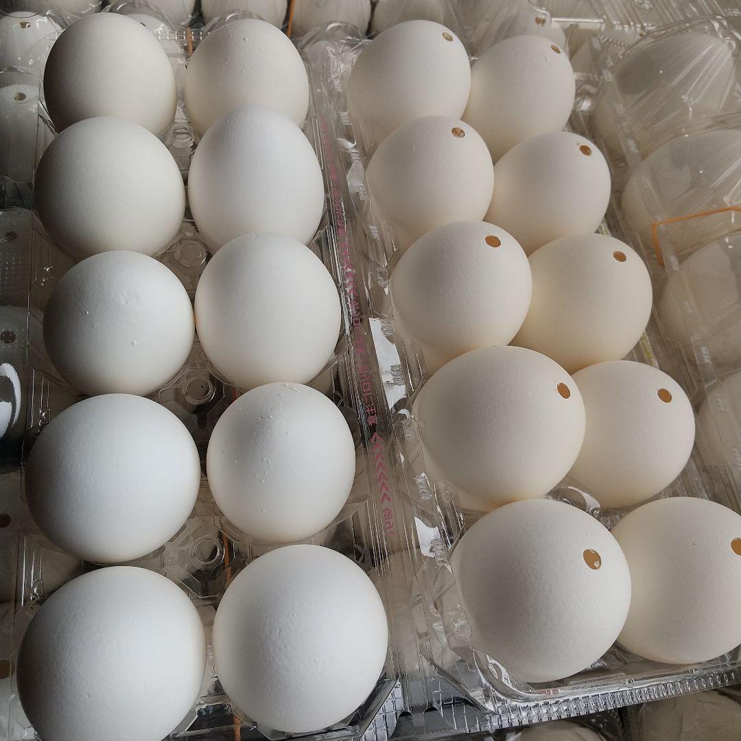 卵の殻(白色)穴1つ 150個