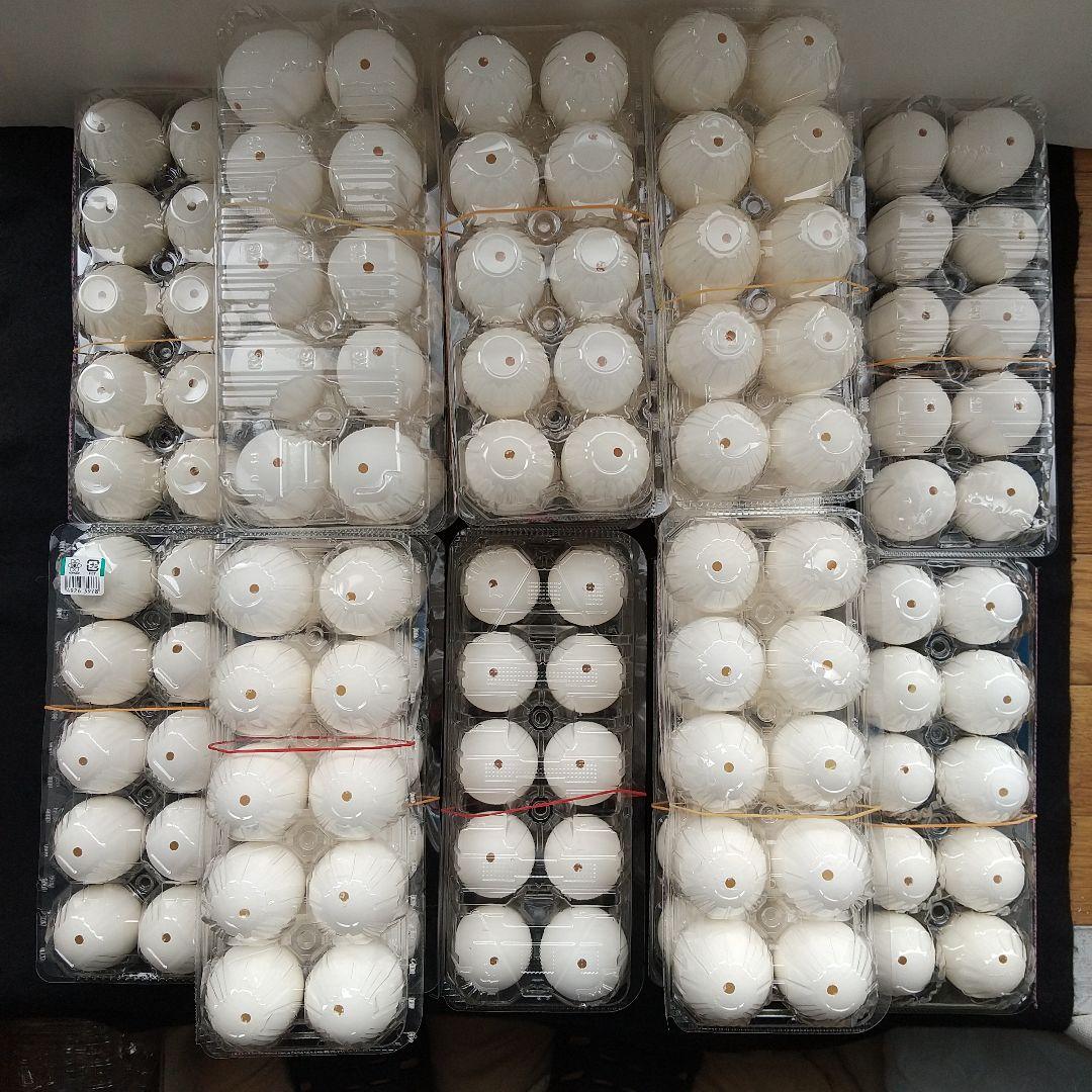 卵の殻(白色)穴1つ 150個