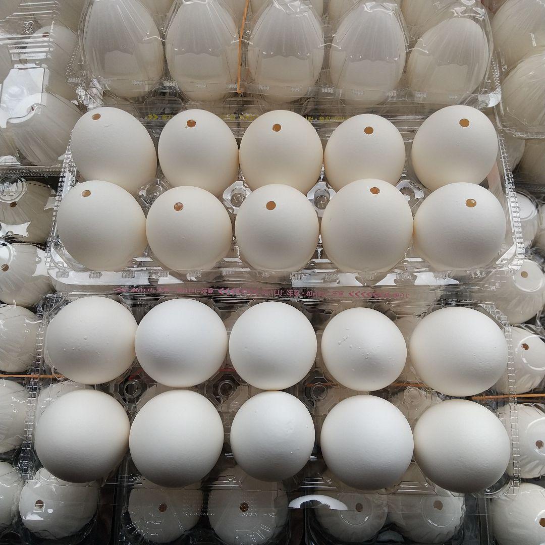 卵の殻(白色)穴1つ 150個