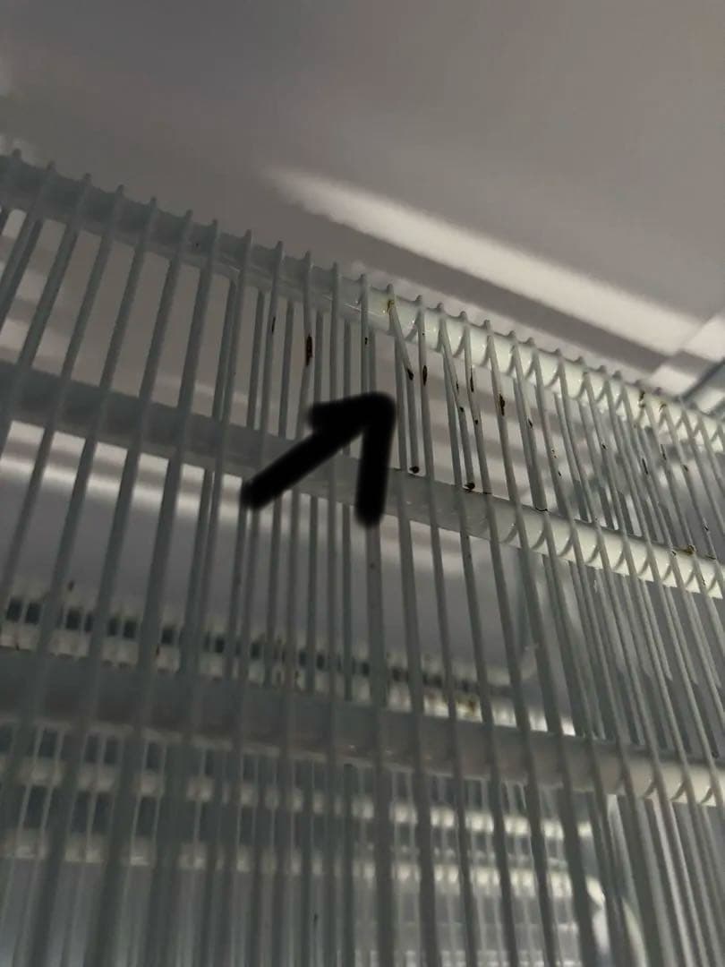 2021年製 アイリスオーヤマ ノンフロン冷凍庫 85L IUSD-9B-B