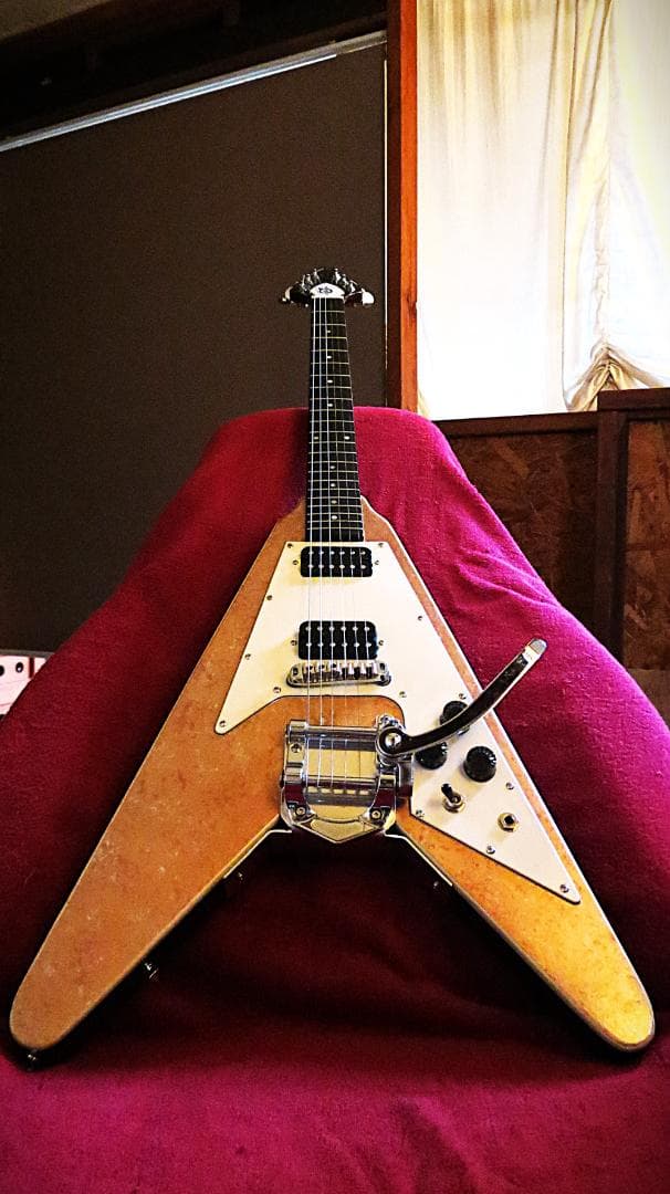 FGV　豪華仕様　オリジナル塗装　コイルタップBL　ビブラートUN　アルニコPU