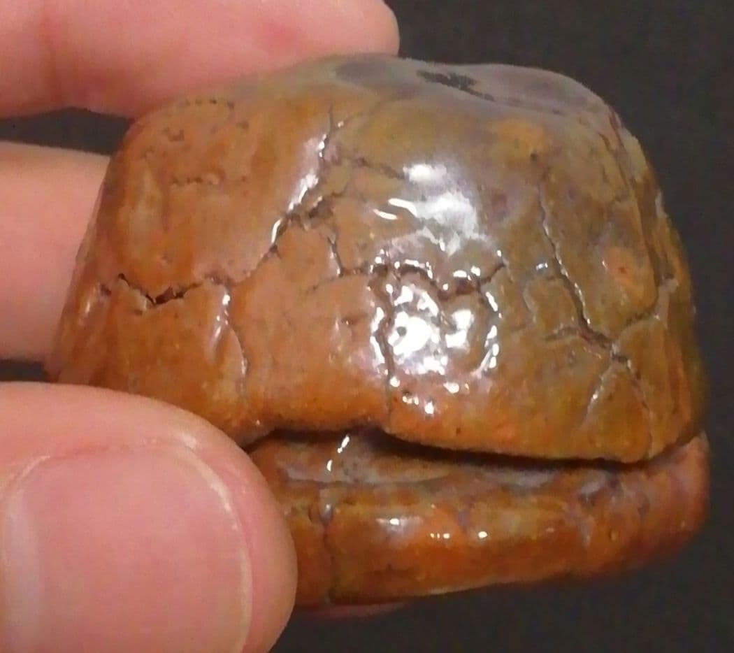 覚々斎？書付 楽焼 梅 香合 共箱 茶道具 - メルカリ