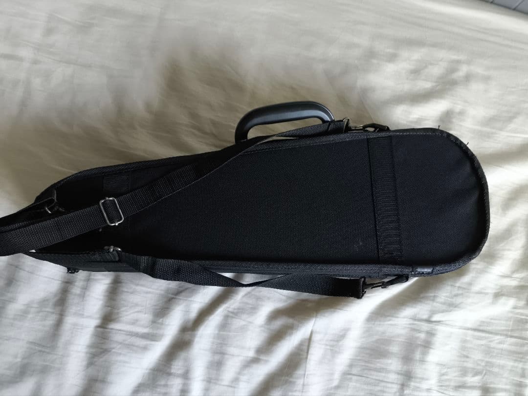 ファーストバイオリン　Carlo giordano VS-2 1/10