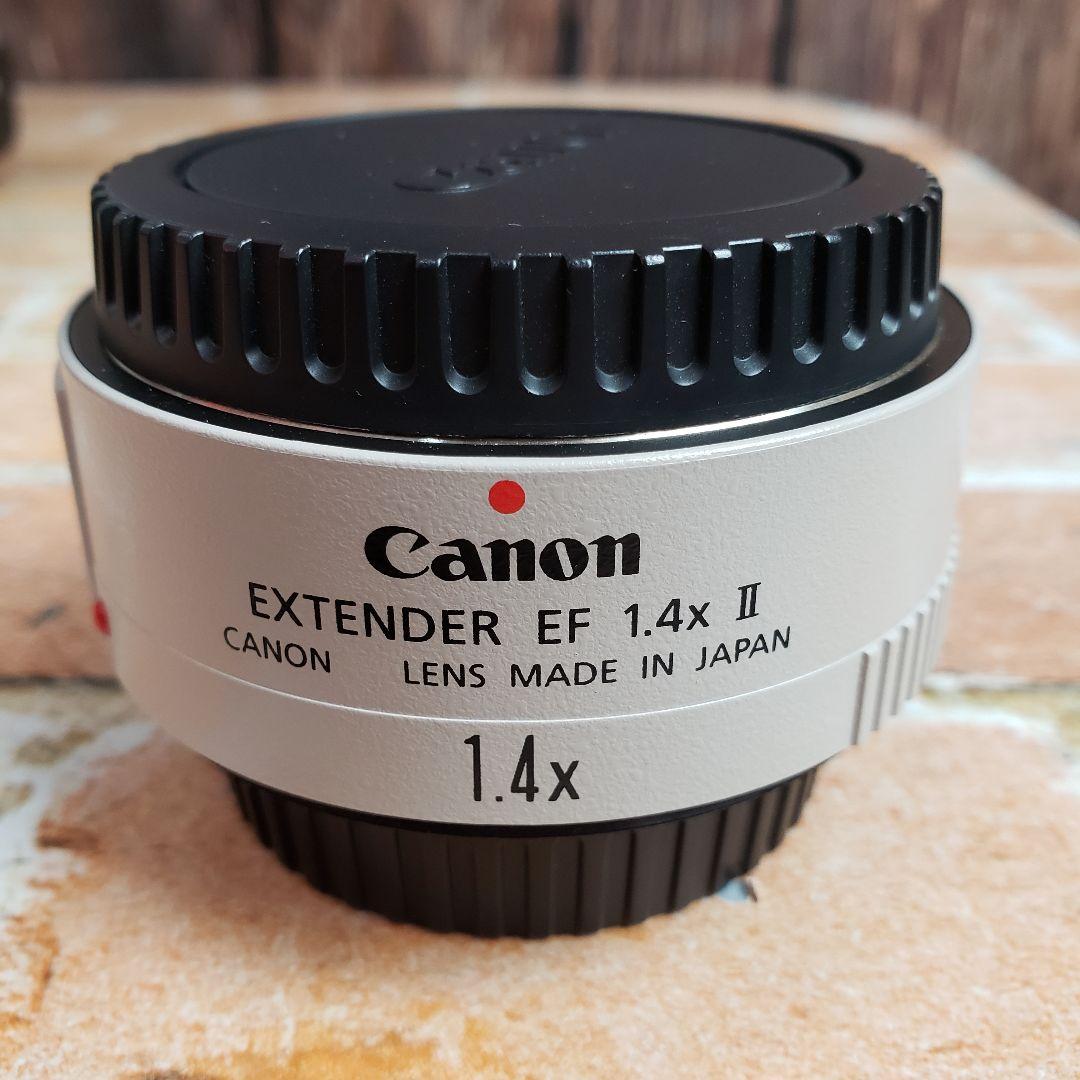 キャノン EF 300mm F2.8L EXTENDER EF 1.4x II