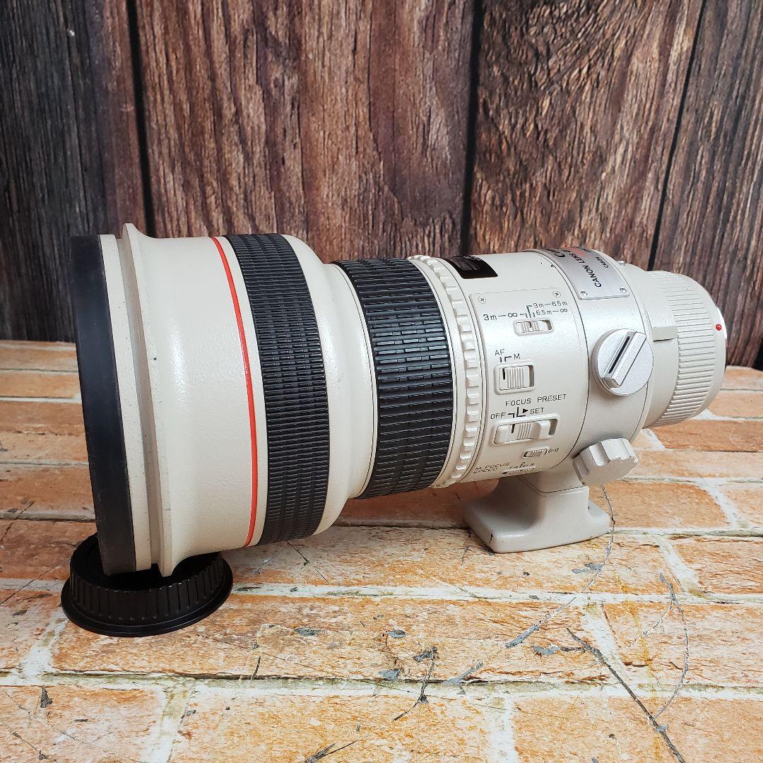 キャノン EF 300mm F2.8L EXTENDER EF 1.4x II