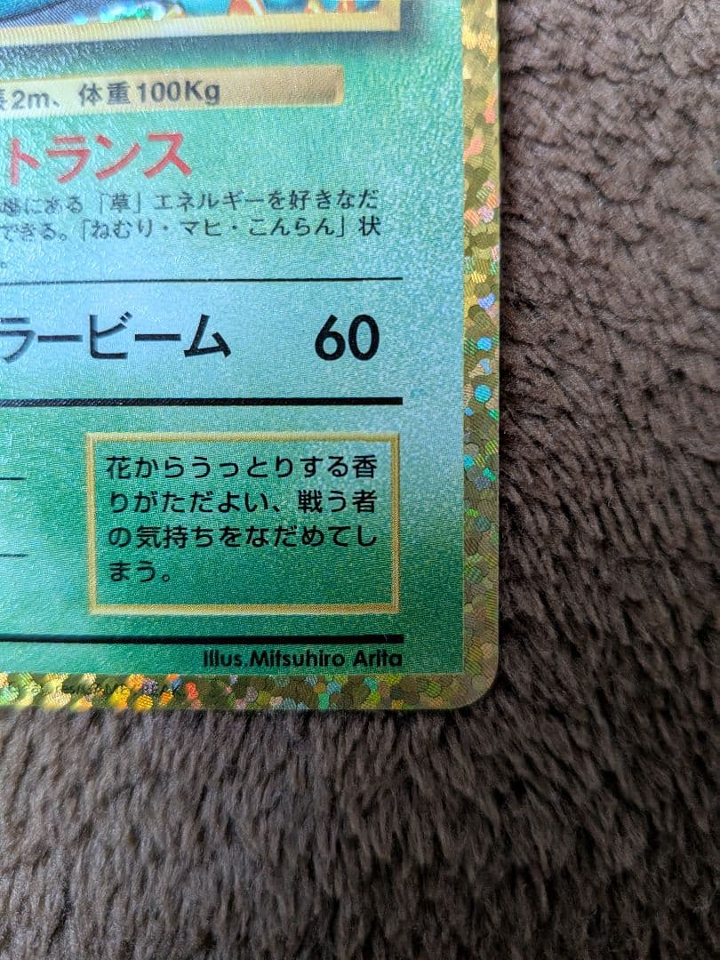 ブラッキー フシギバナ 25th ANNIVERSARY