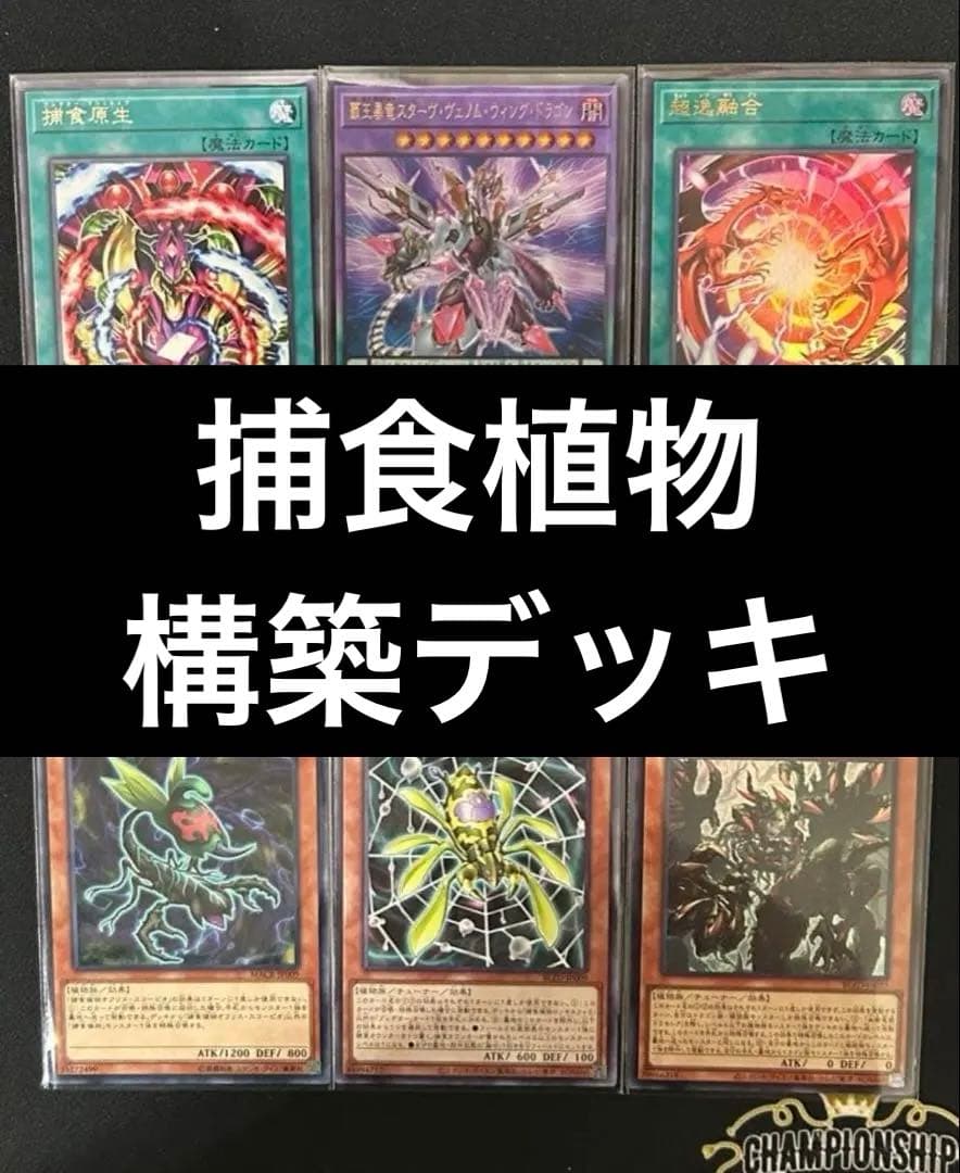 遊戯王 捕食植物デッキ プレデタープランツ 新弾構築 即購入可 超逸