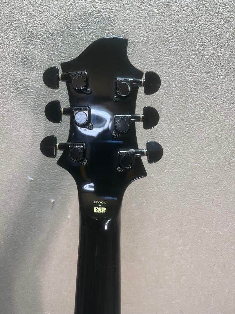 EDWARDSエドワーズプロフェッショナルギターとベース