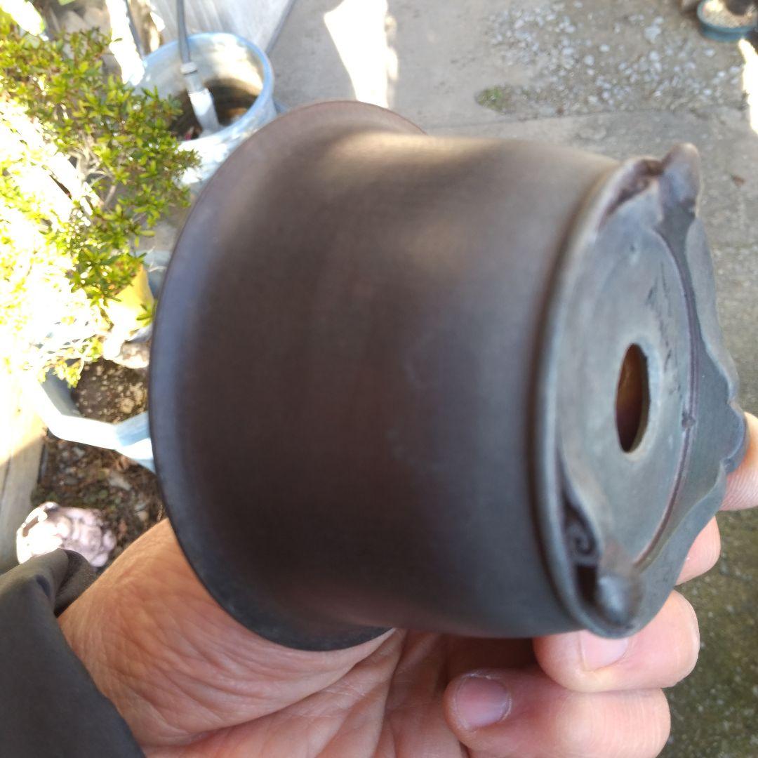 ミニ鉢、盆栽鉢、鉢、植木鉢、山野草鉢、蘭鉢、盆栽