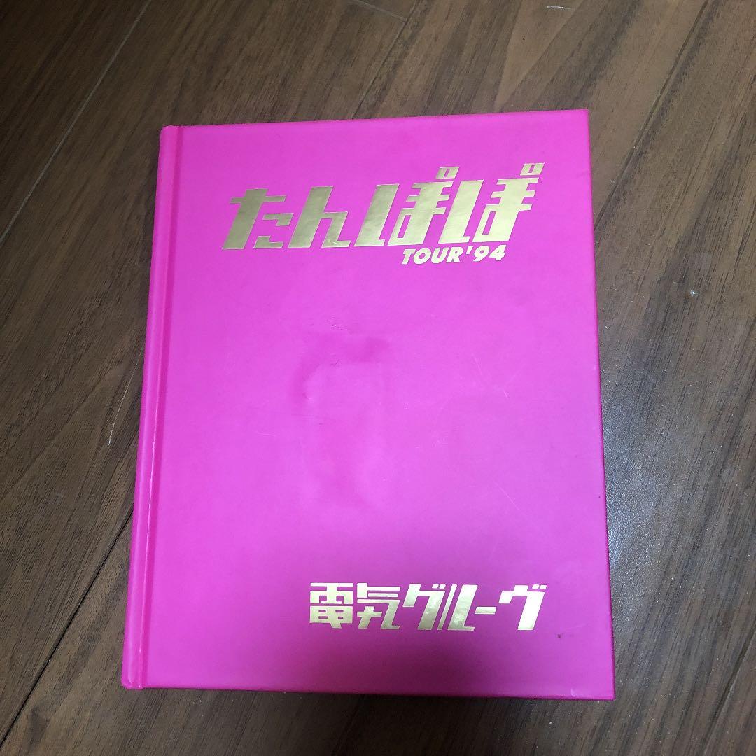 激レア 電気グルーヴ 1994たんぽぽツアー パンフレット 新品未使用