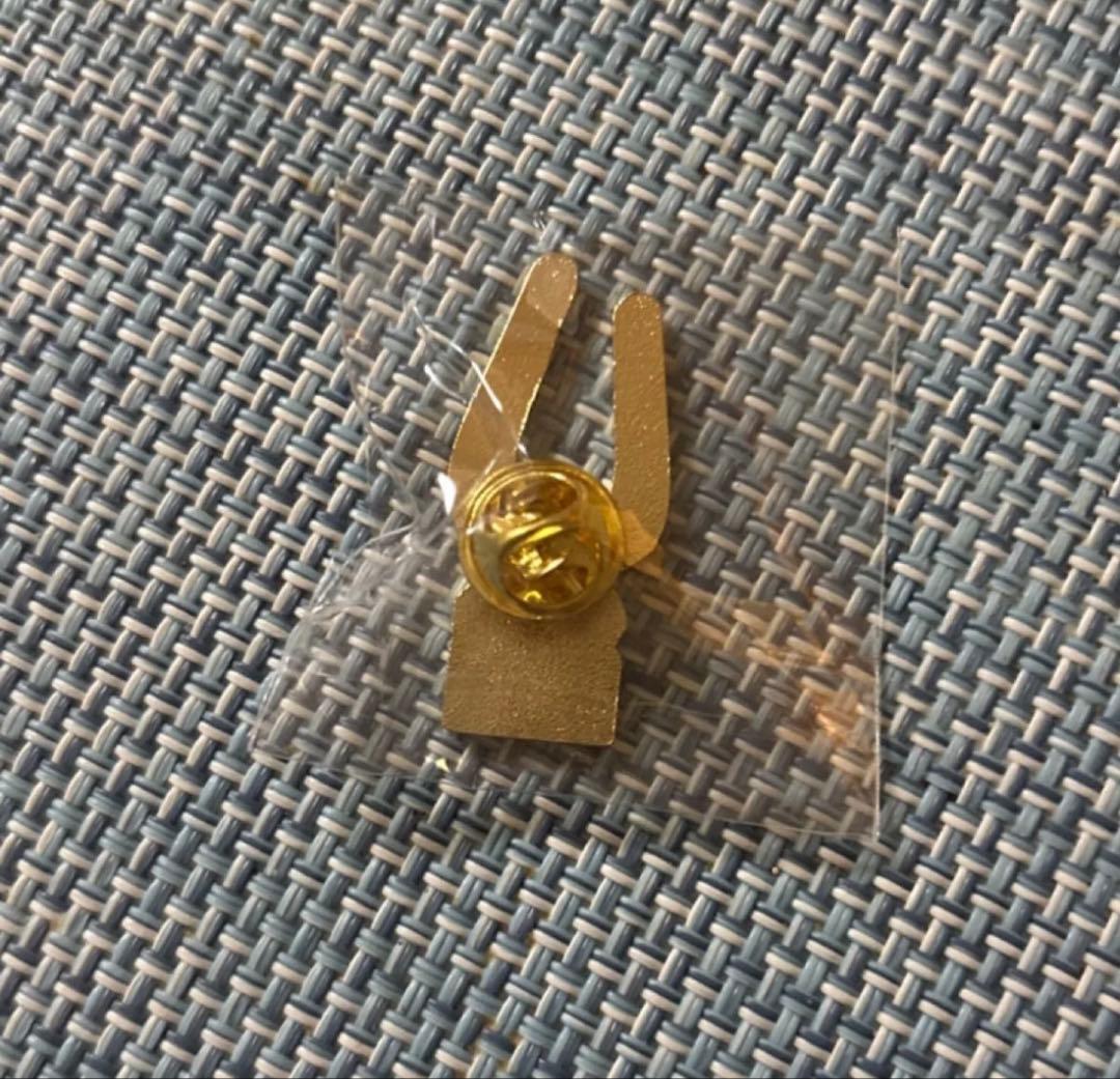 ドミニカ共和国　ピンバッジ　万博