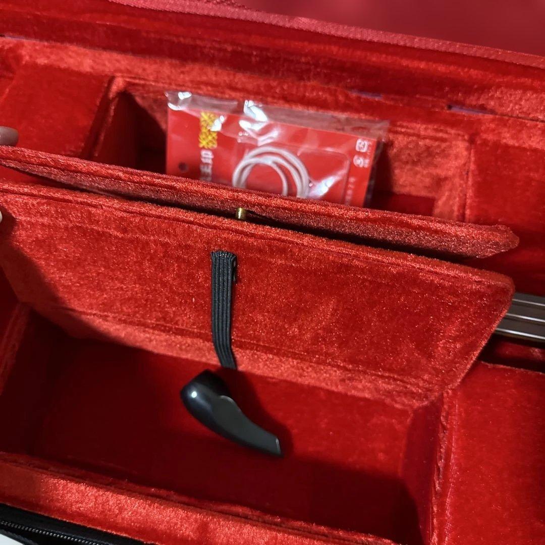 沖縄 三線 弦楽器 ソフトケース付き リュックタイプ