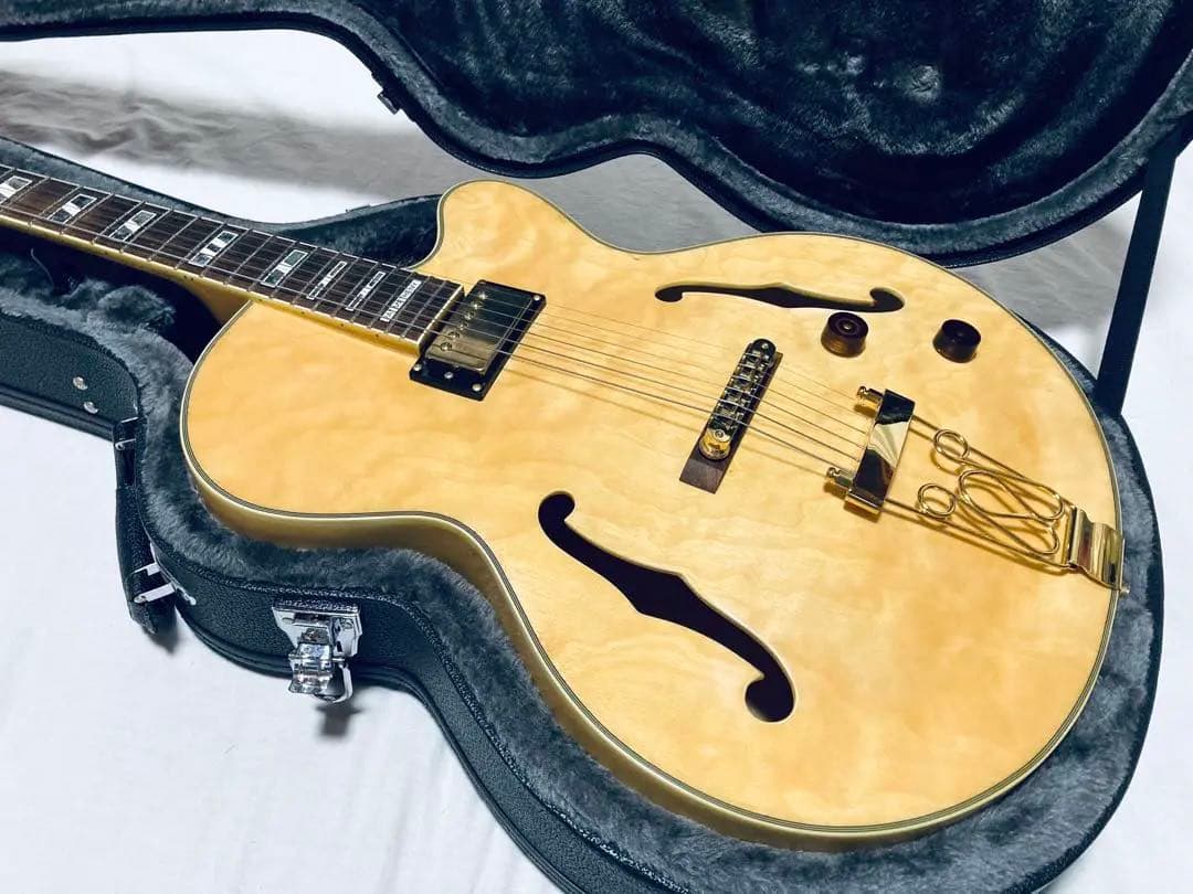 Ibenez PM2 PAT METHENY フルアコ パット・メセニー