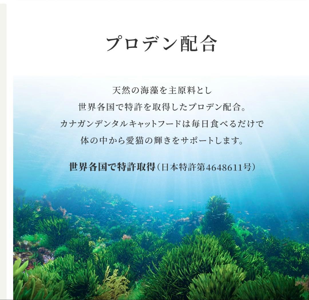 未開封　CANAGAN DENTAL デンタルキャットフード 1.5kg × 2