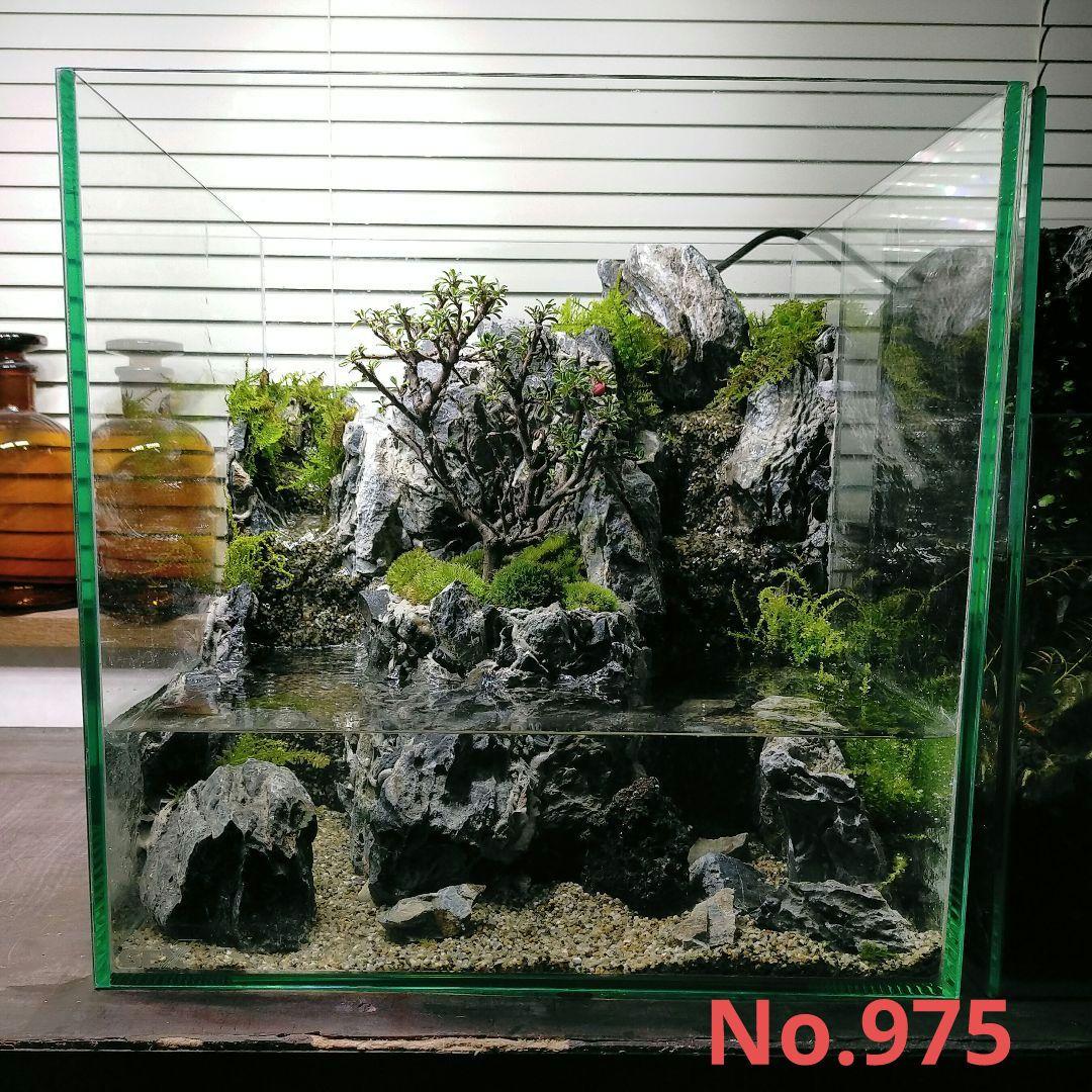 2本の滝の流れるアクアテラリウム 盆栽リウム No.975 - メルカリ