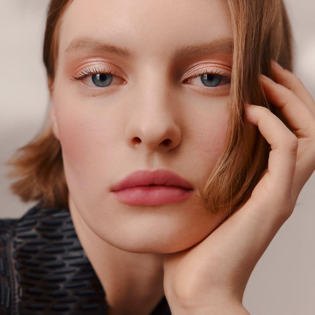 新品未使用　限定品エルメス　プードルロカバール