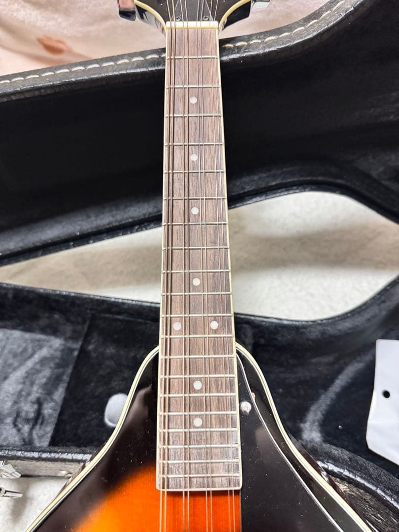 【超美品】Aria AM-20 フラットマンドリン超美品　専用ハードケース 楽器