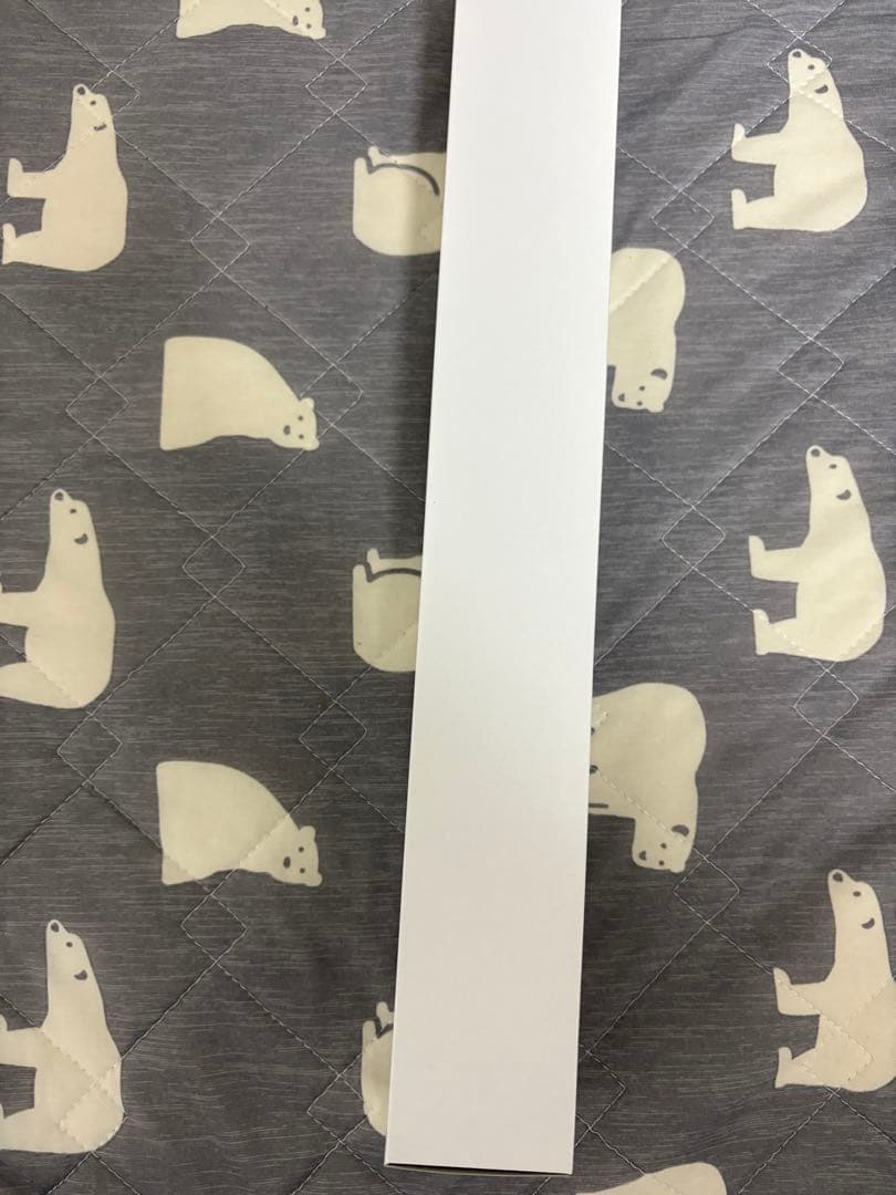 即完売！oasis Live´25日本公演限定ポスターA2サイズ10/25東京