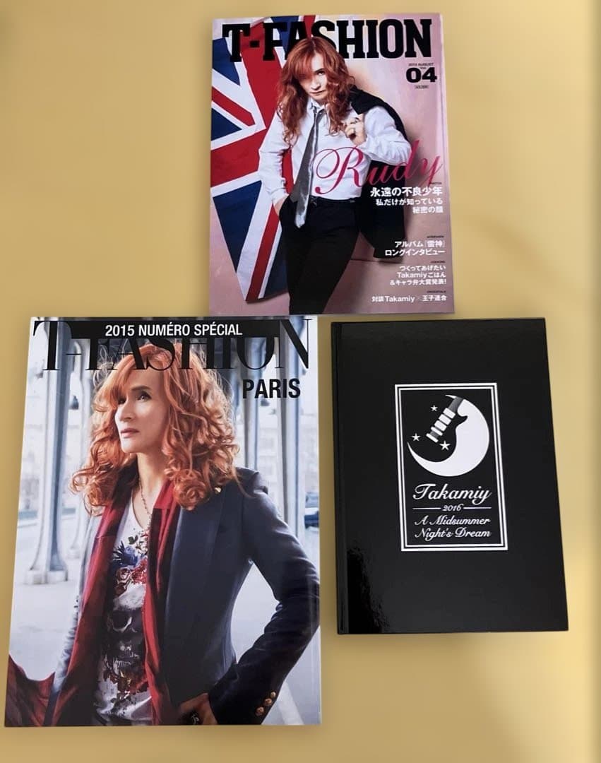 THE ALFEE 高見沢俊彦パンフ12冊セット 付属品追加