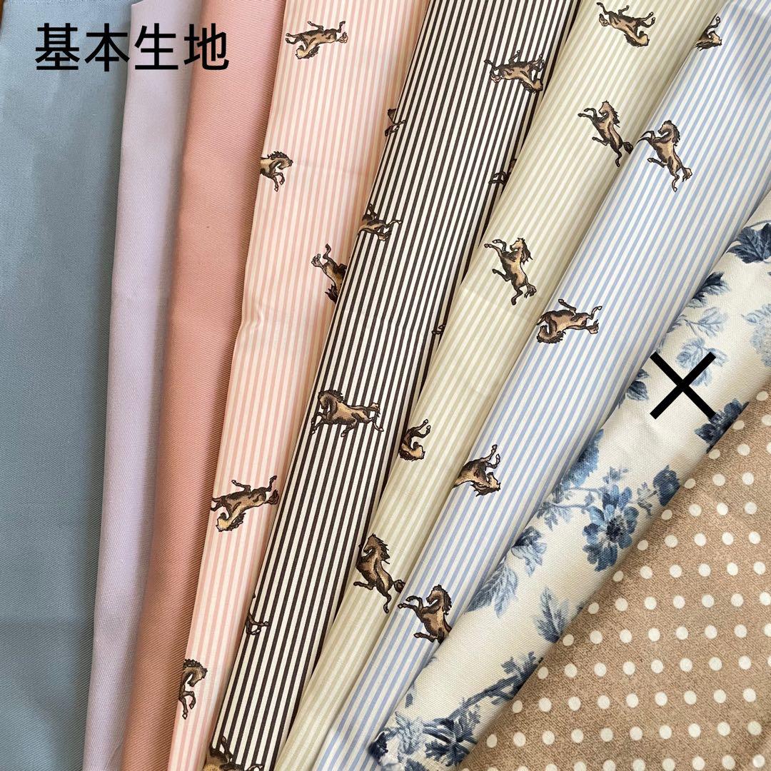 しーちきんページエヴリンtpmサイズバッグインバッグ