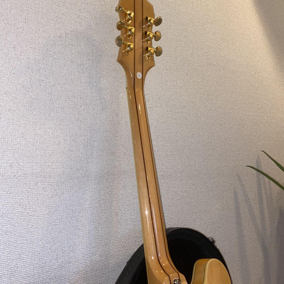 エピフォン シェラトン ハードケース付き Epiphone SheratonII