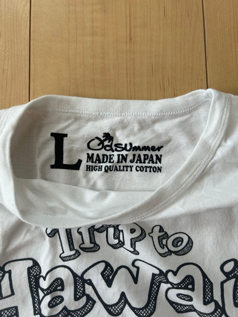 桑田佳祐さん着用 オールドサマー Tシャツ Lサイズ サザンオールスター