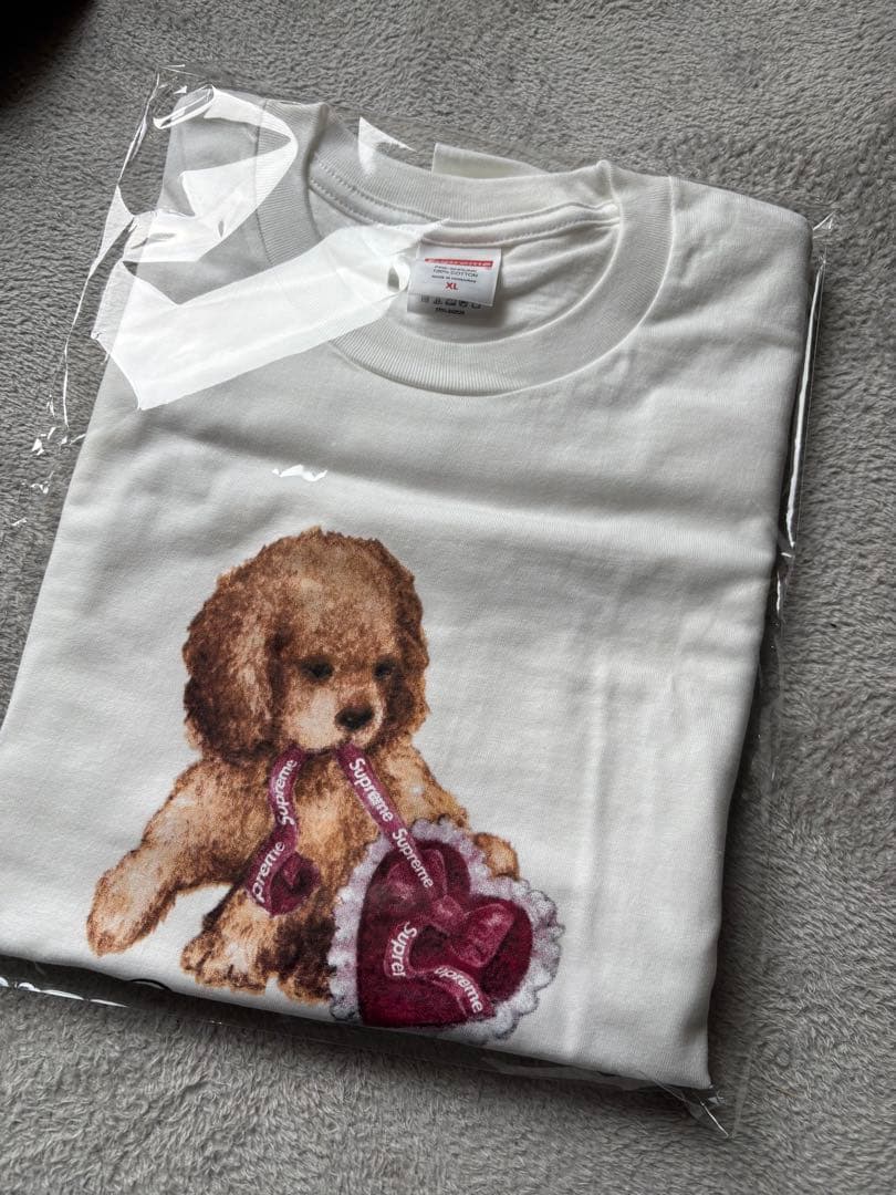 即日発送】Supreme シュプリーム Dust Tee 白 XL 25FW