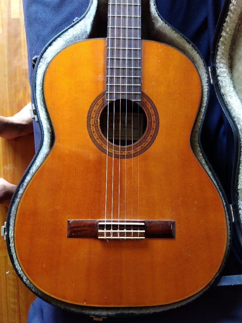 DORADO BY GRETSCH グレッチ ガットギター クラシックギター