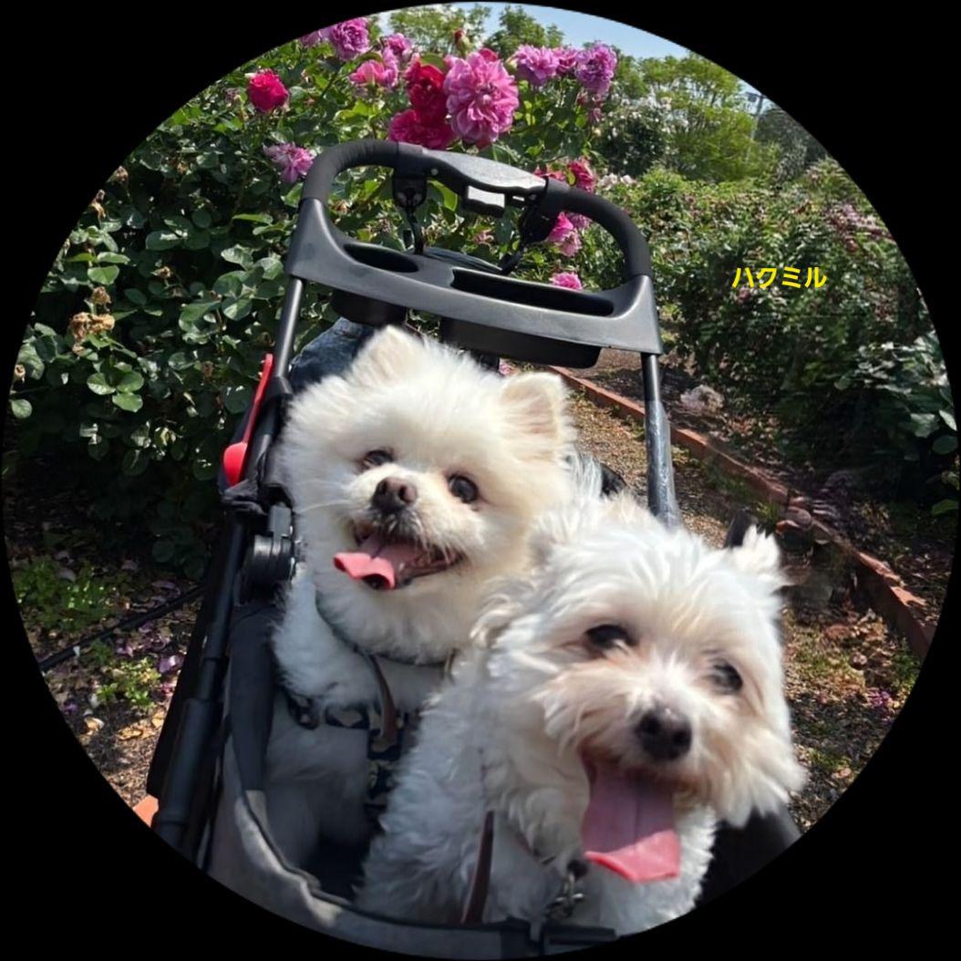 FaFa！キーホルダー