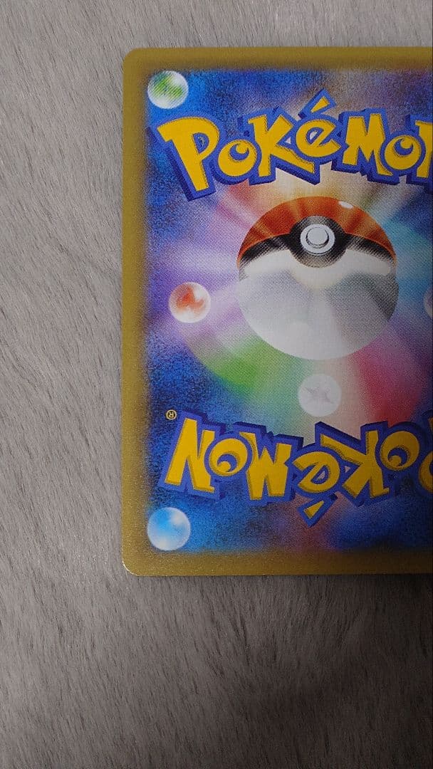 ぬ*ま様 リザードン ガブリアス　25周年