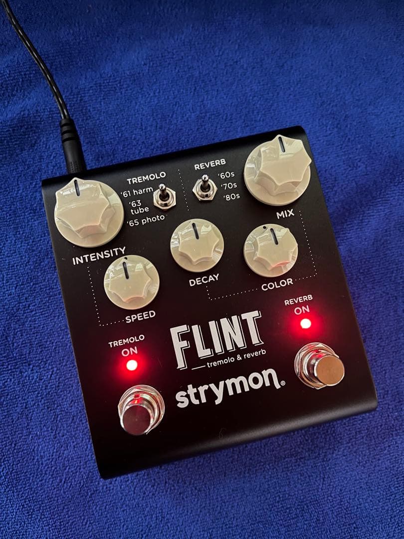 れる  Strymon FLINT V2