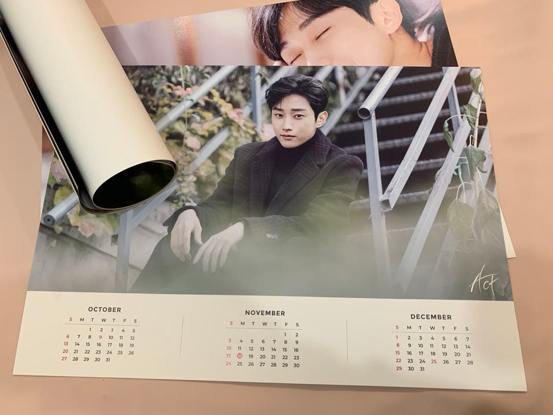 アイドル B1A4 JINYOUNG 2019 Season's Greetings