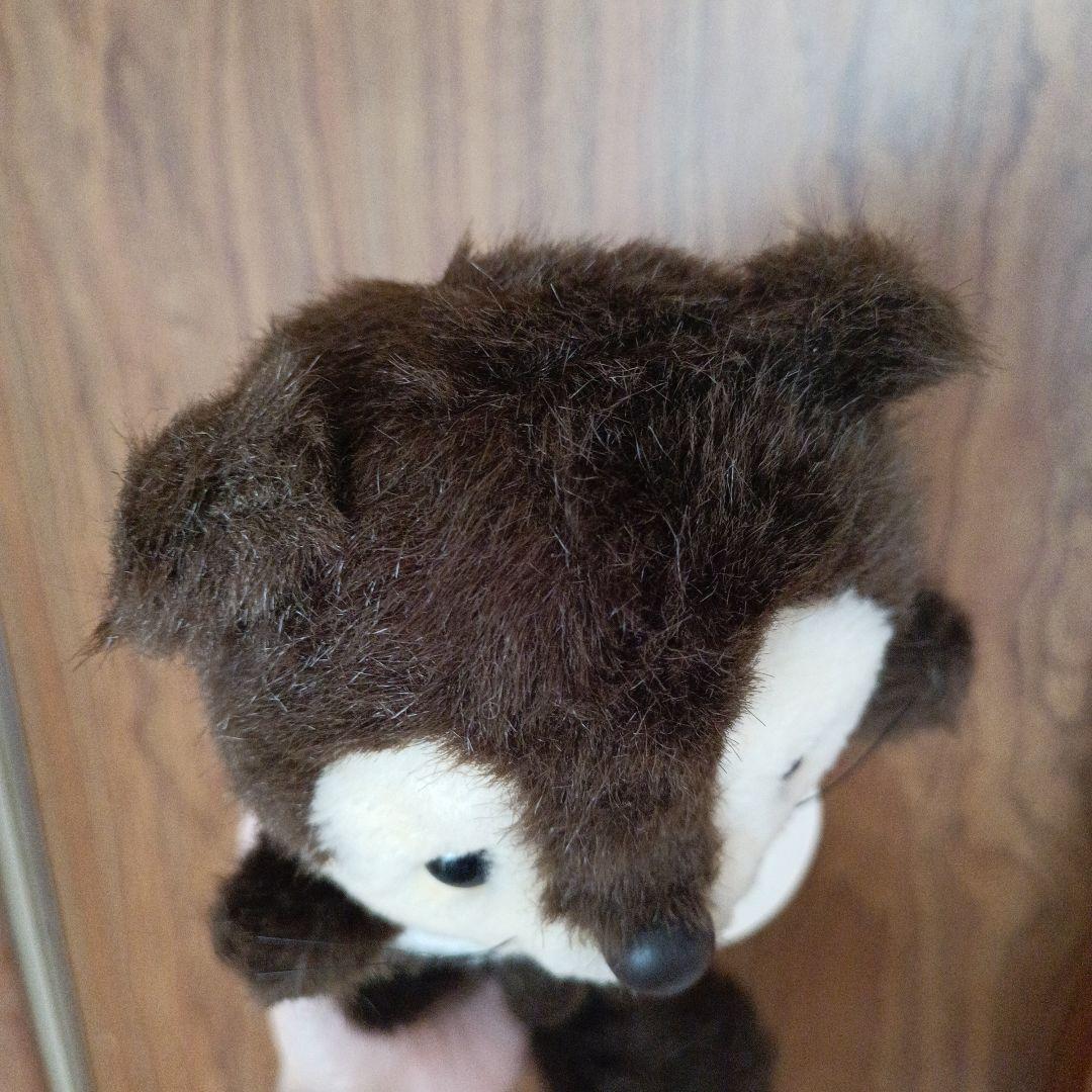 ファースト社 たぬき たま吉 玉吉 昭和レトロ ぬいぐるみ タマキチ